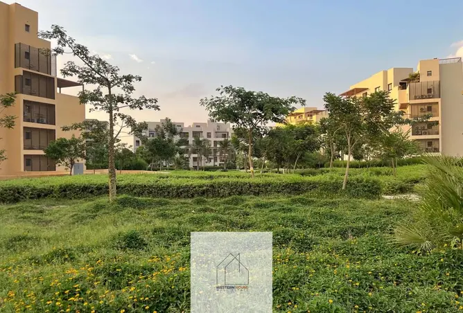 111608224 - صورة العقار 3