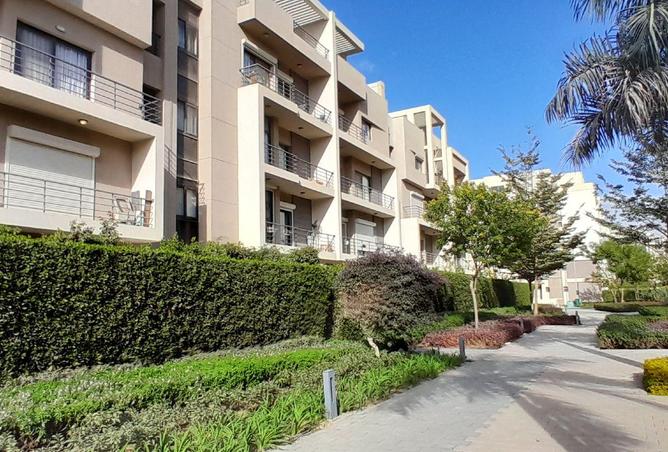 70364044 - صورة العقار 2