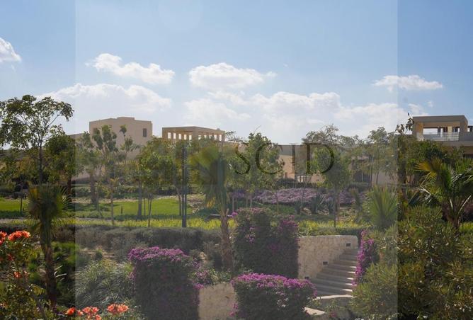 52968134 - Property Image 3