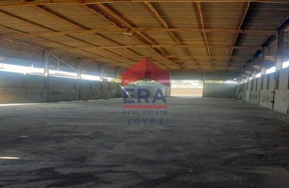 Warehouse - Studio - 3 Bathrooms for rent in Abou Rawash - Cairo