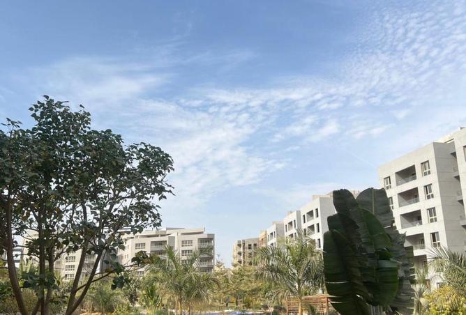 74323280 - صورة العقار 3
