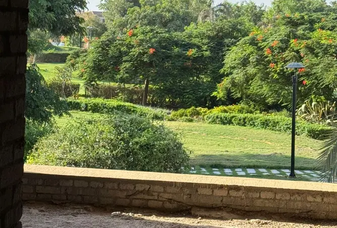 96309197 - صورة العقار 2