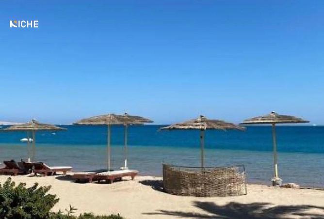 66686394 - صورة العقار 3