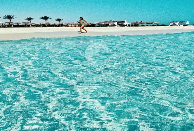 59244178 - Property Image 2