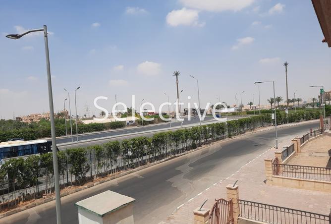 53726397 - Property Image 2