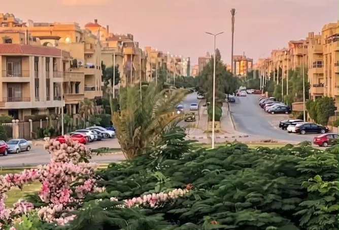 118283778 - صورة العقار 2