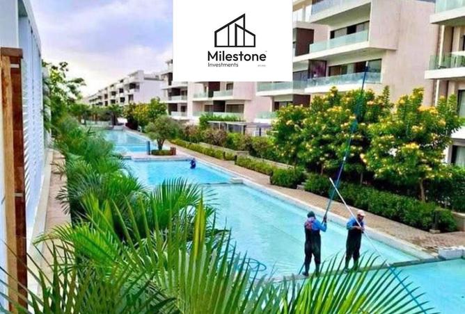 53987688 - Property Image 3