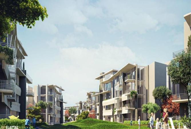 87510749 - Property Image 3