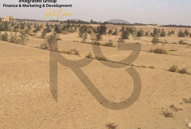 62167578 - صورة العقار 3