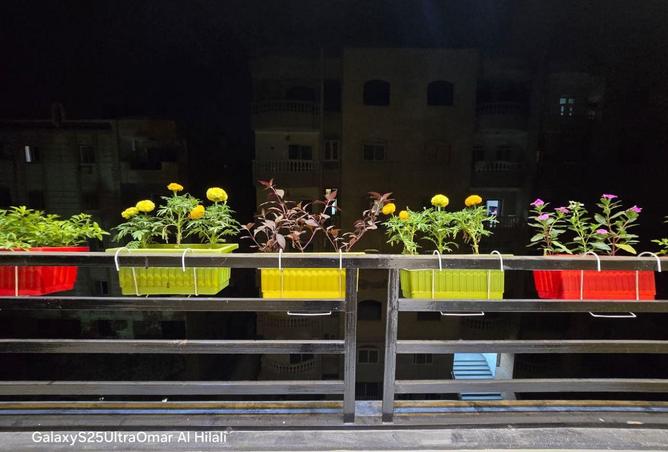 8677566 - صورة العقار 2