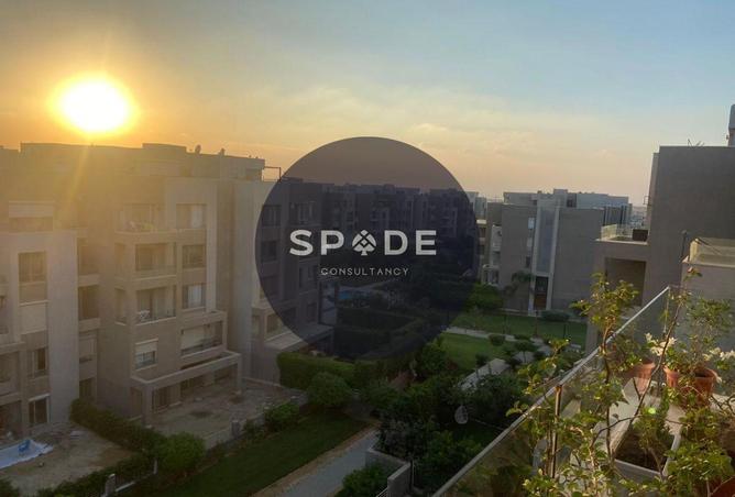 72185616 - Property Image 3
