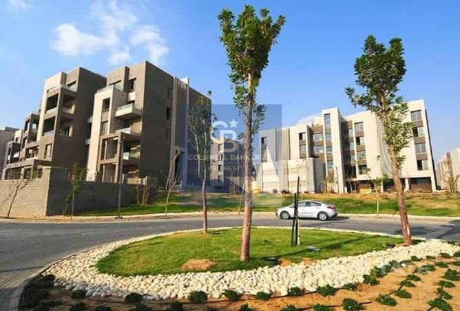 56001967 - Property Image 2