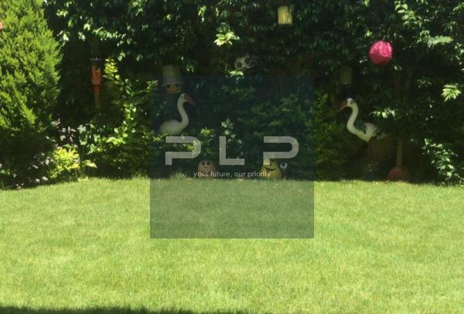99388800 - Property Image 3