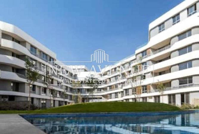 56496105 - Property Image 3