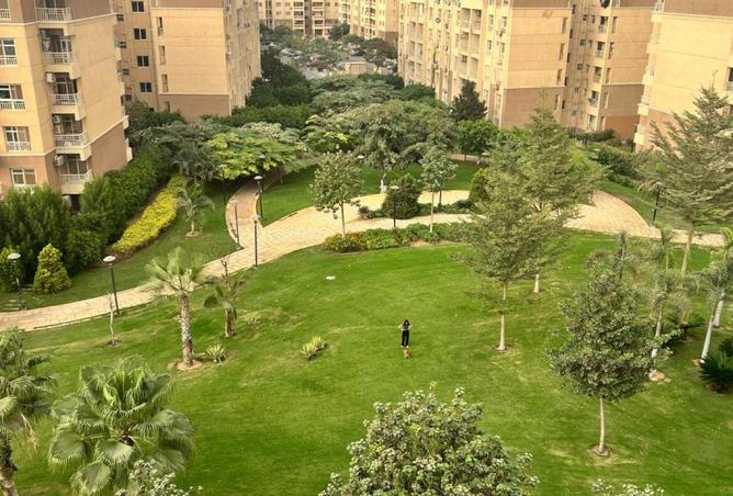 78135736 - صورة العقار 2