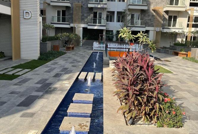 58997602 - صورة العقار 3