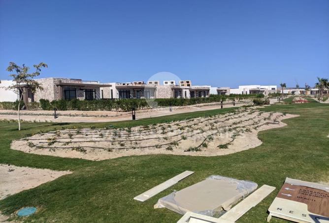 8716631 - صورة العقار 3