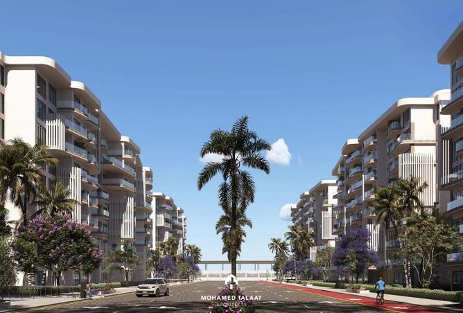 62648188 - Property Image 3