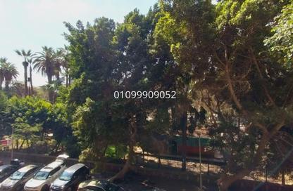Apartment - 5 Bedrooms - 4 Bathrooms for sale in Ibn Zinky St. - Zamalek - Cairo