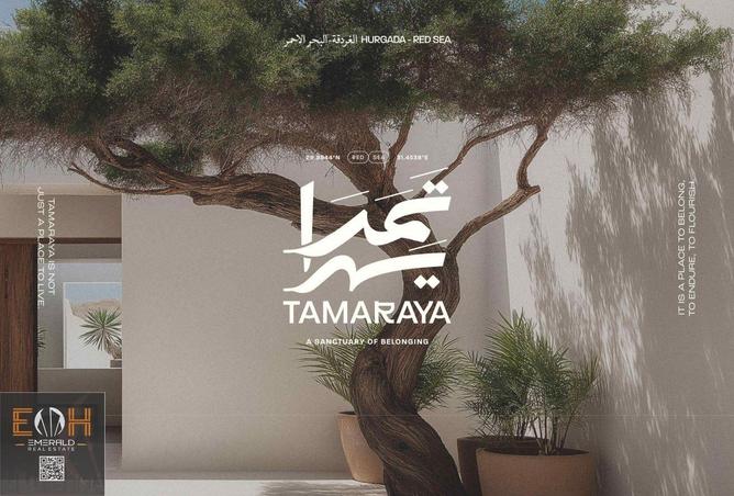 71395888 - الصورة الرئيسية للعقار