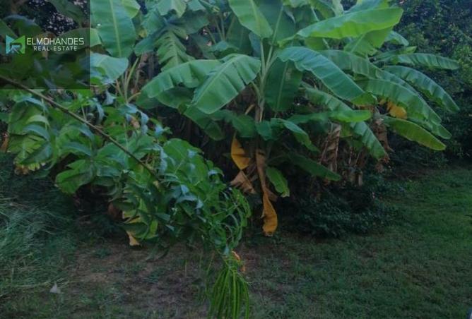 8427641 - الصورة الرئيسية للعقار