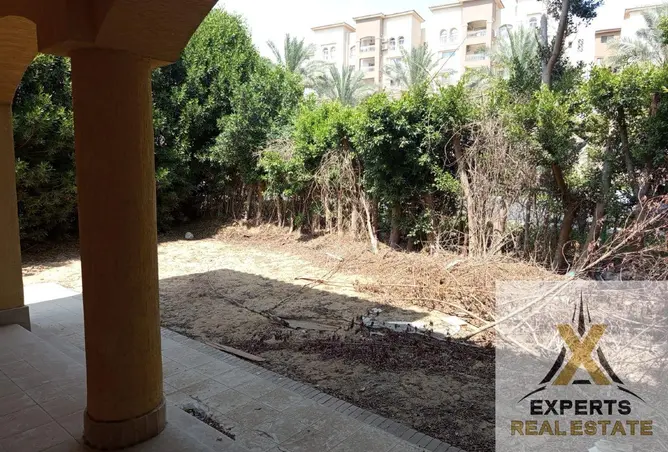 98003561 - صورة العقار 3