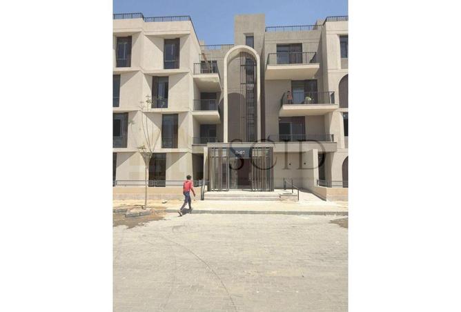 81824779 - صورة العقار 3