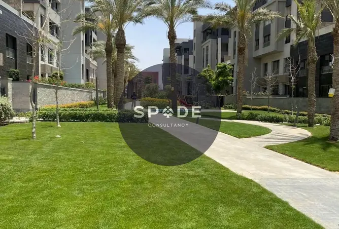 121147955 - Property Image 3