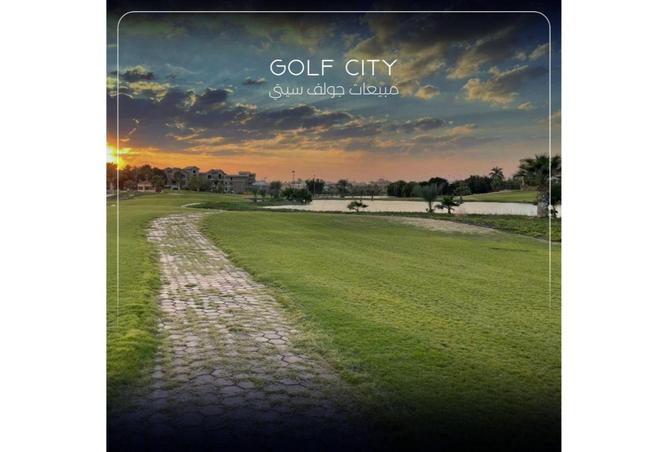 60230755 - صورة العقار 3