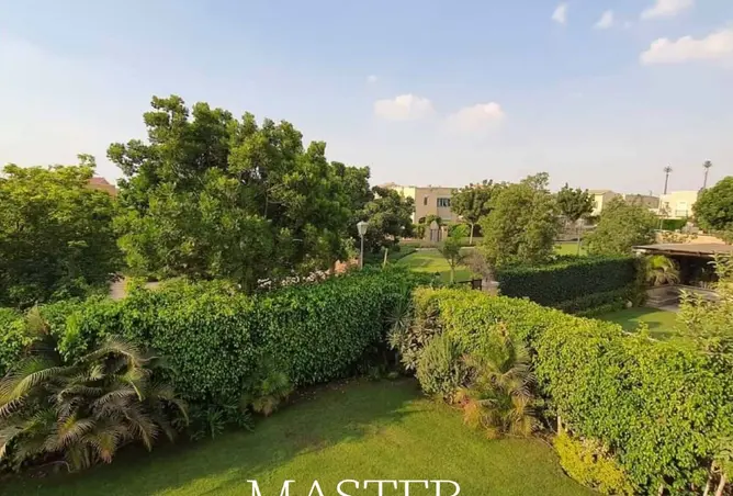 115719376 - صورة العقار 3