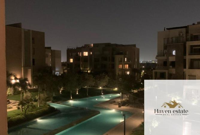 55498209 - Property Image 3