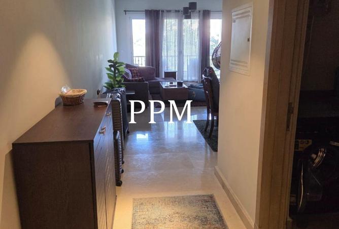 8596120 - Property Image 2