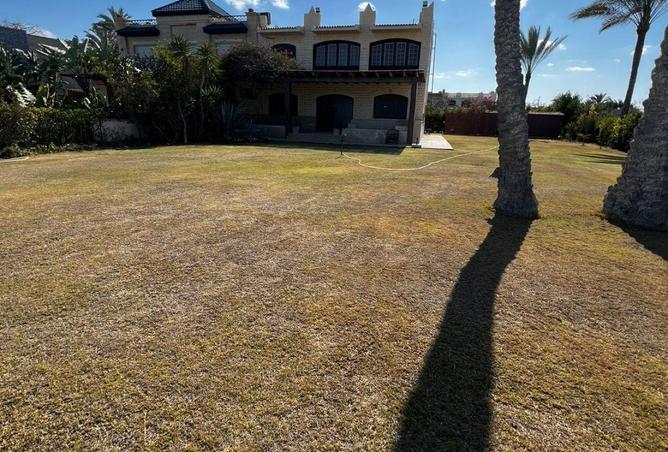 57736002 - صورة العقار 3