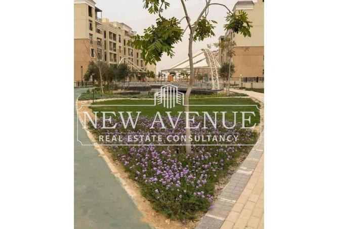 59240206 - صورة العقار 3