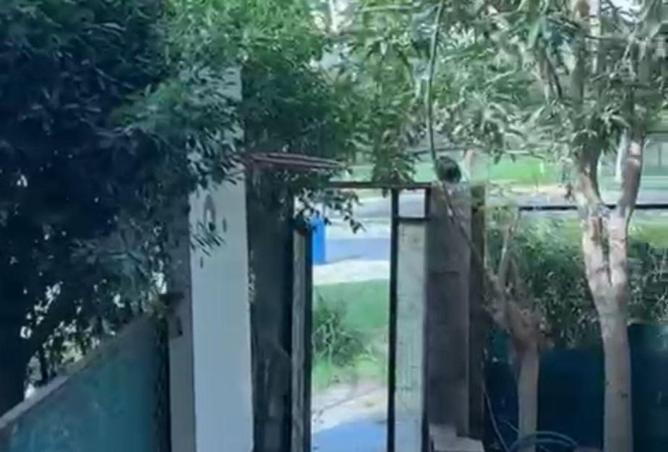 52712590 - صورة العقار 3