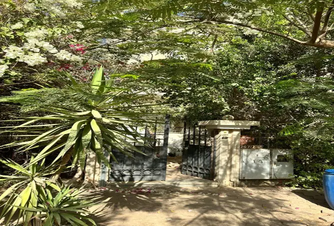 73241566 - صورة العقار 2