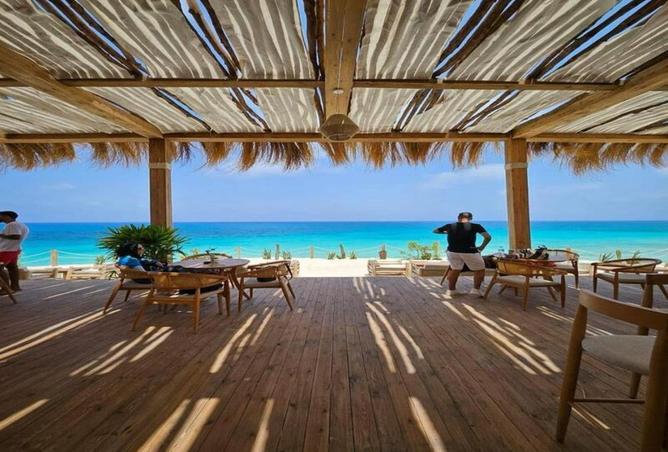 66166732 - Property Image 3