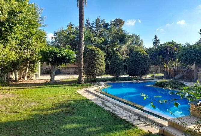 54237161 - صورة العقار 2