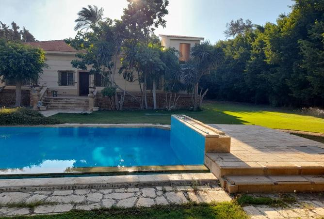 54237161 - صورة العقار 3