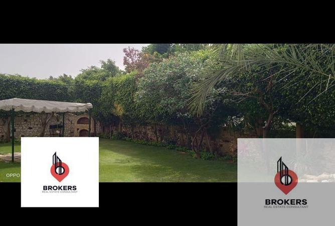 65162723 - Property Image 2