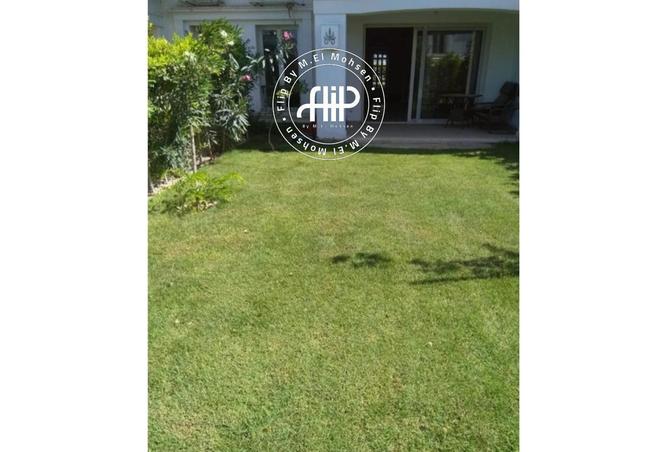 53478211 - الصورة الرئيسية للعقار