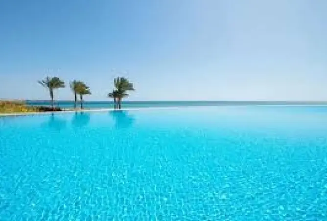 80250565 - صورة العقار 2