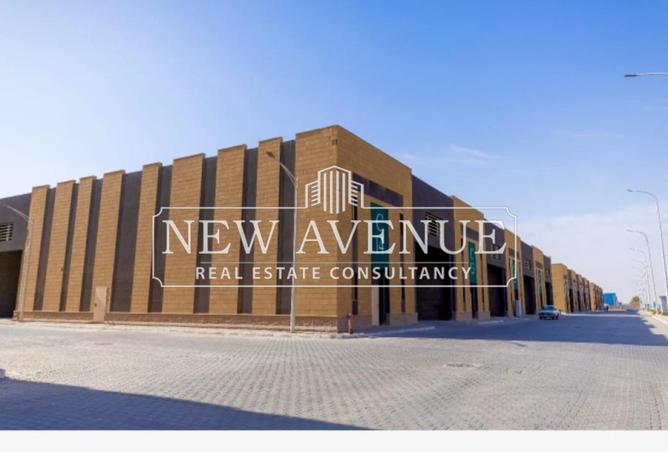 61442050 - Property Image 3