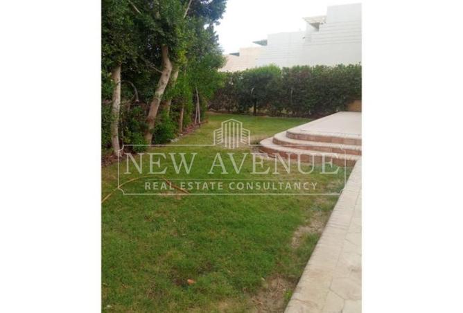 97719625 - Property Image 3