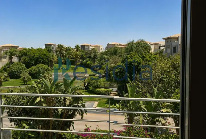 110461574 - Property Image 3