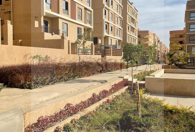 64894910 - صورة العقار 3