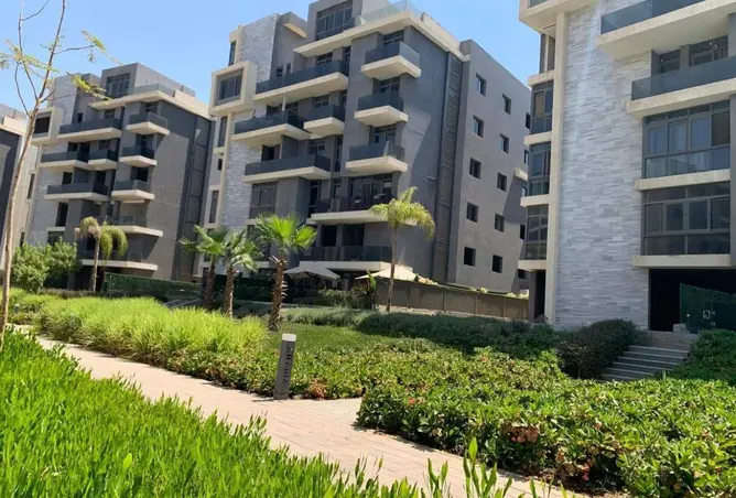 115172781 - صورة العقار 2
