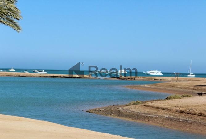 97993594 - صورة العقار 3