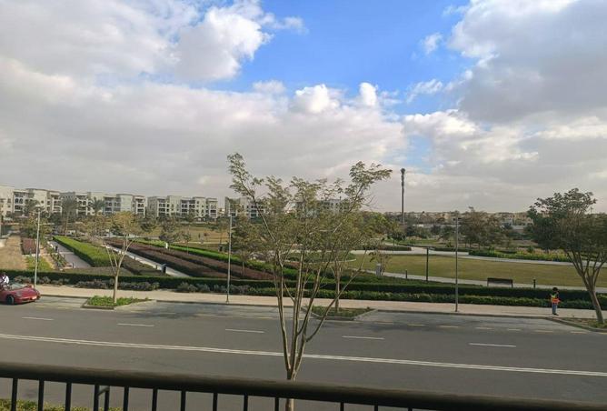 55503269 - الصورة الرئيسية للعقار