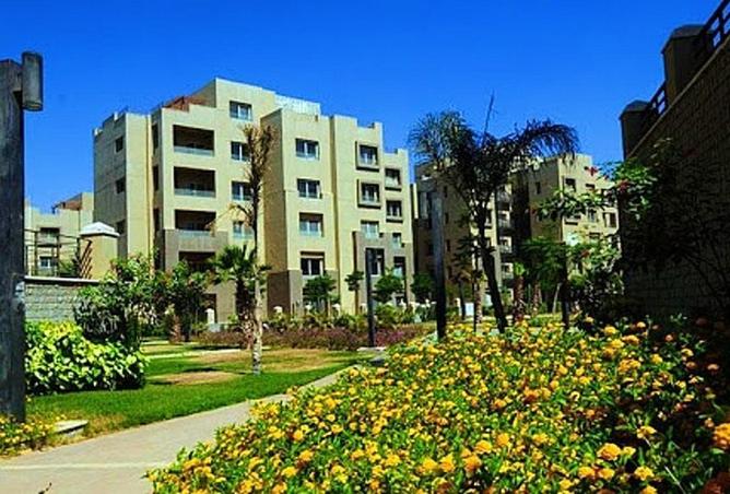 61695078 - Property Image 2